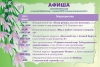 Афиша на май