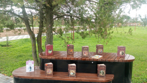 "Осенняя аллея чтения"