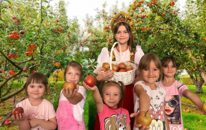 Познавательно - игровая программа "Яблонька - краса в гости к нам пришла"