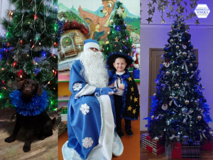 Итоги новогодней акции &laquo;Ёлочный круговорот: делимся праздником!&raquo;